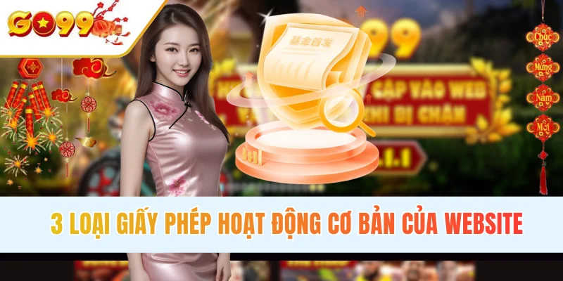 3 loại giấy phép hoạt động cơ bản của website