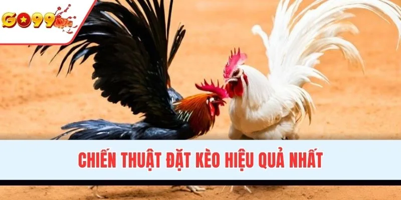 Chiến thuật đặt kèo hiệu quả nhất